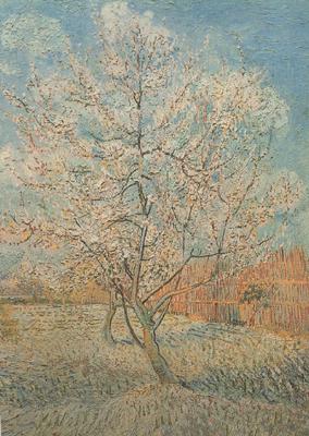 Vincent Van Gogh Peach Tree in Blossom (nn040 oil painting image